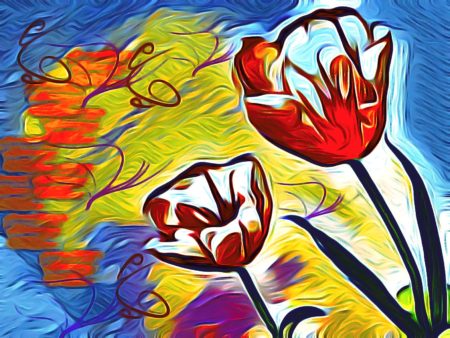 Tulip Fever | Inci Jones Artist